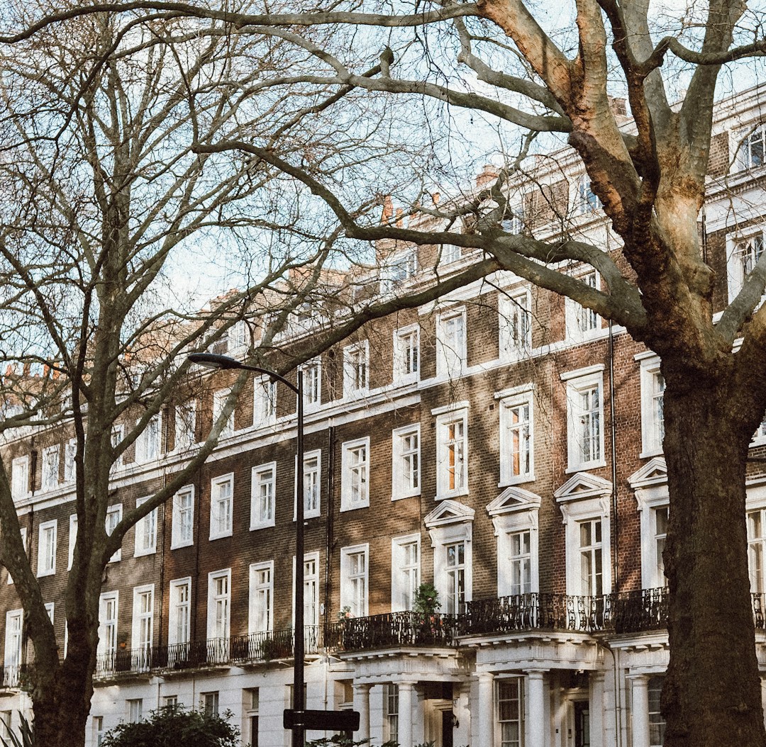 Understanding UK Legal Consultancy: What Chinese Businesses Need to Know